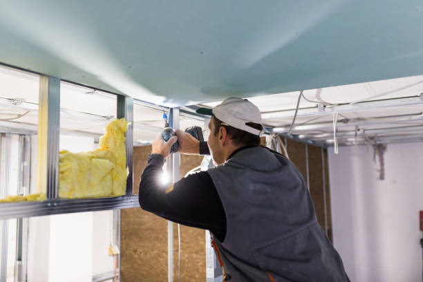 Best DIY Insulation Kits and Guidance in Lincoln Park, MI