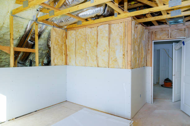 Best Eco-Friendly Insulation in Lincoln Park, MI