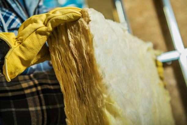Reliable Lincoln Park, MI Insulation Contractor Solutions