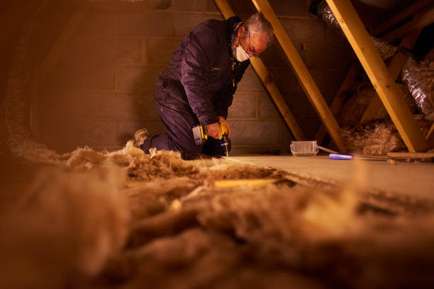 Best Cellulose Insulation in Lincoln Park, MI